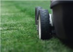 drought lawn care